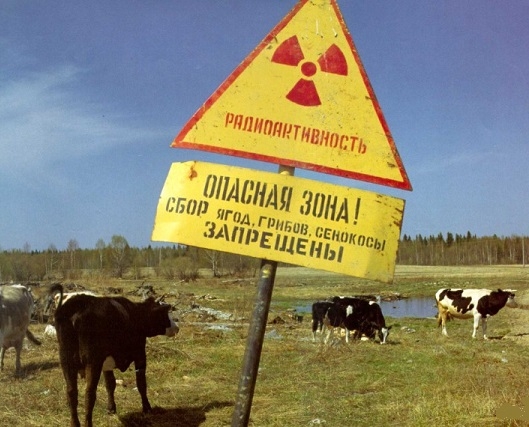 Radioaktywność, teren skażony 